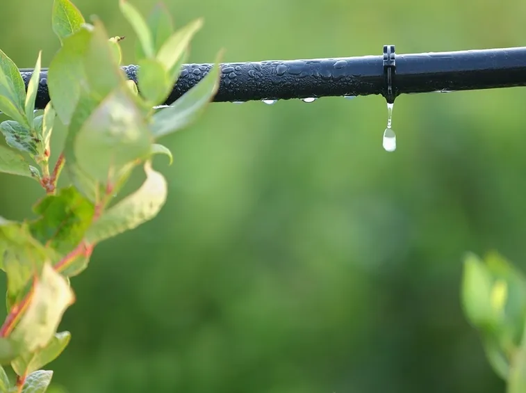 tubi irrigazione fuoriterra-