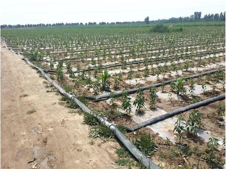 tubi irrigazione fuoriterra