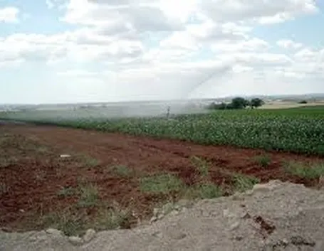 Irrigatori a scomparsa dinamici-1