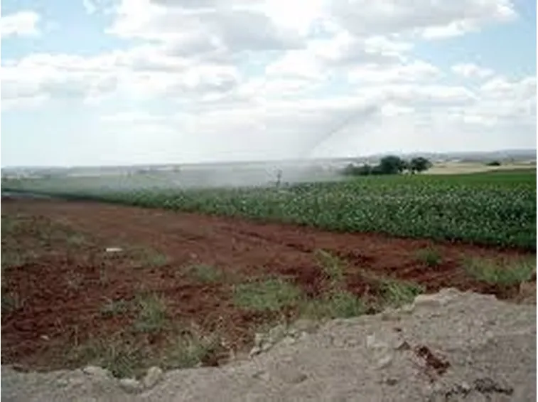 Irrigatori a scomparsa dinamici-1