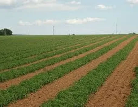 Irrigatori a scomparsa statici-2