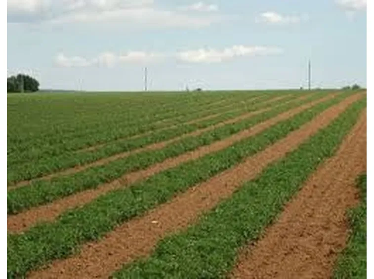Irrigatori a scomparsa statici-2
