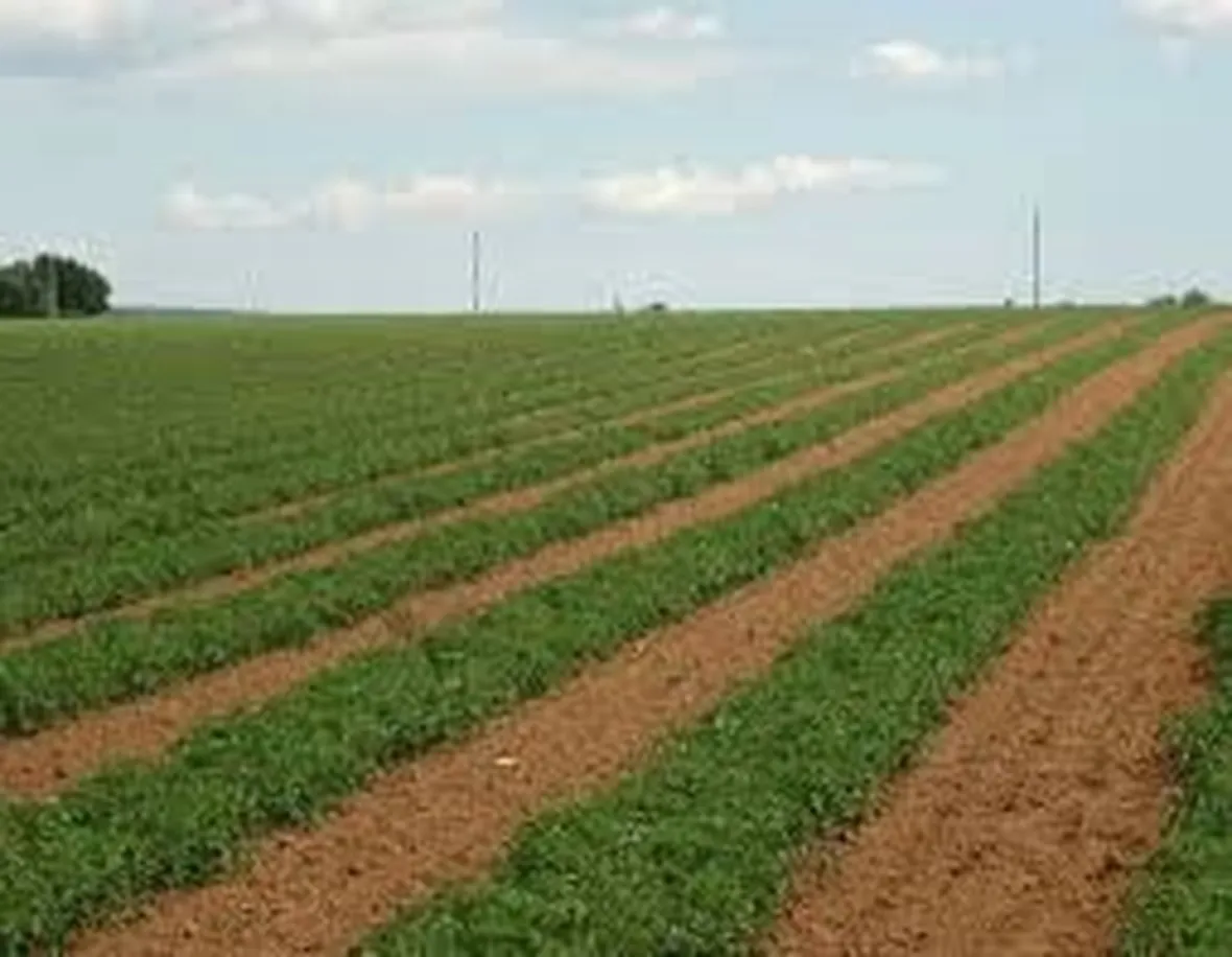 Irrigatori a scomparsa statici-2