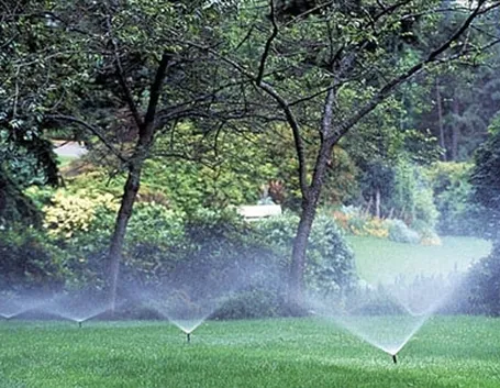Progettazione impianto irrigazione interrato
