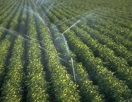 Progettazione impianto irrigazione interrato