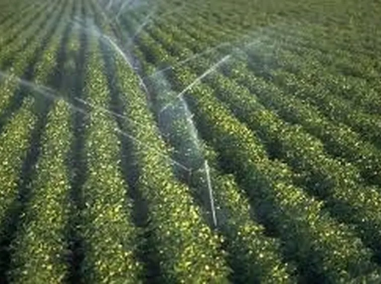 Progettazione impianto irrigazione interrato