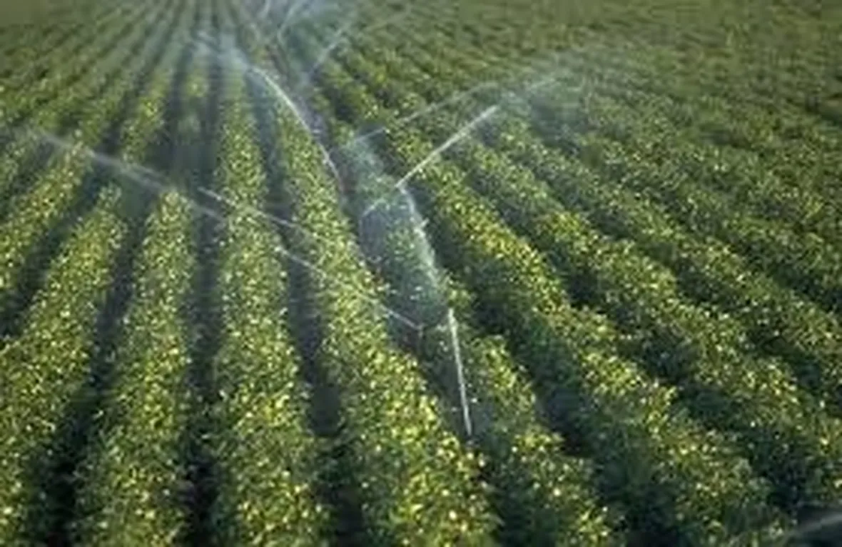 Progettazione impianto irrigazione interrato