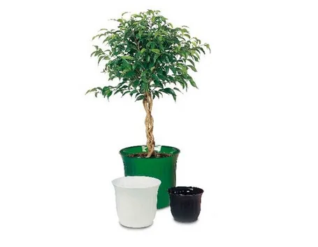 Caratteristiche dei vasi in plastica