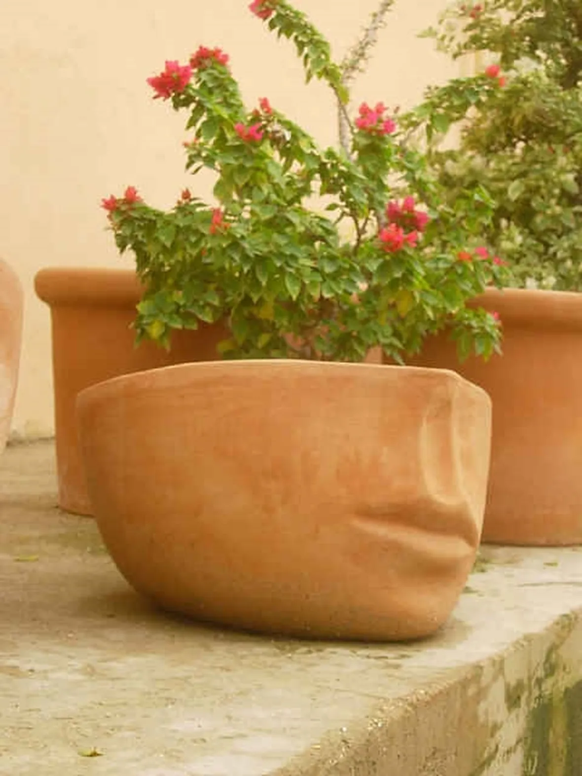 vasi in terracotta-2