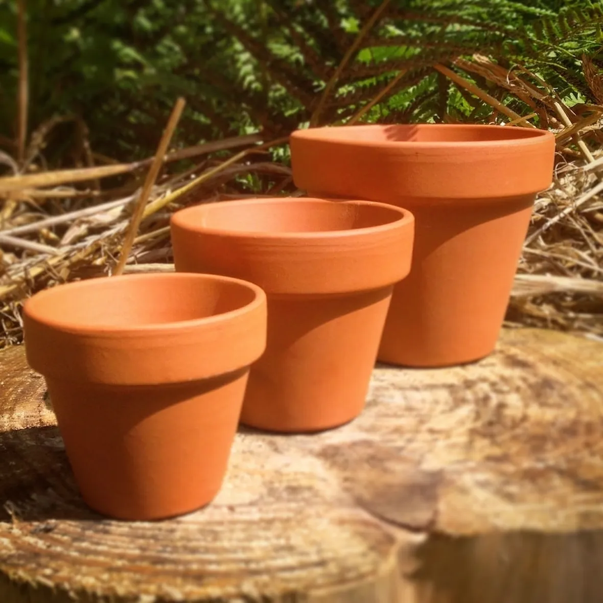 vasi in terracotta 