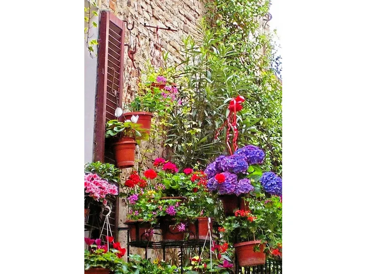 vasi per fiori-1