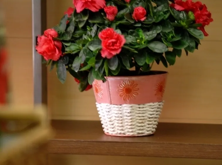 vasi per fiori-6
