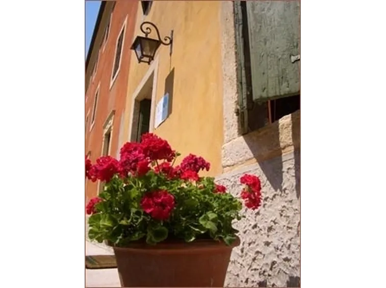 vasi per fiori-7