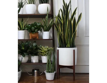 vasi per fiori