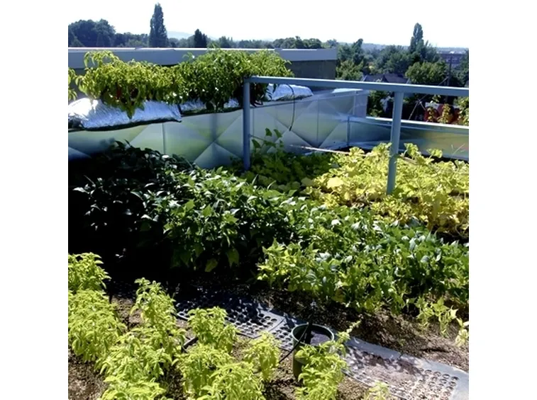 giardini pensili