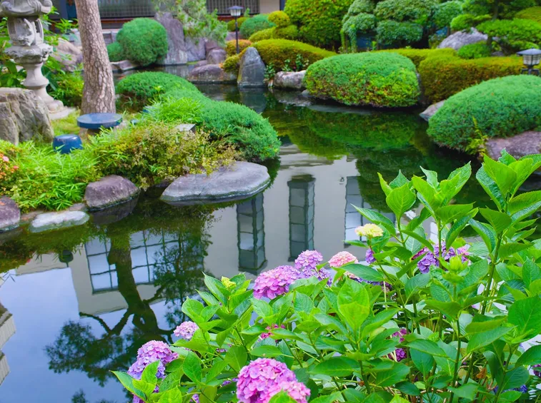 giardino d'acqua-8