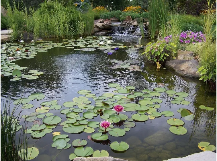 giardino d'acqua-6