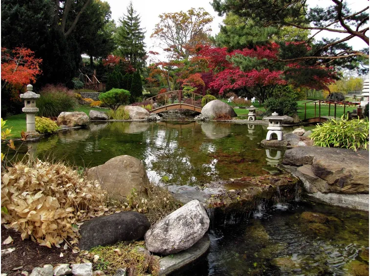giardino d'acqua