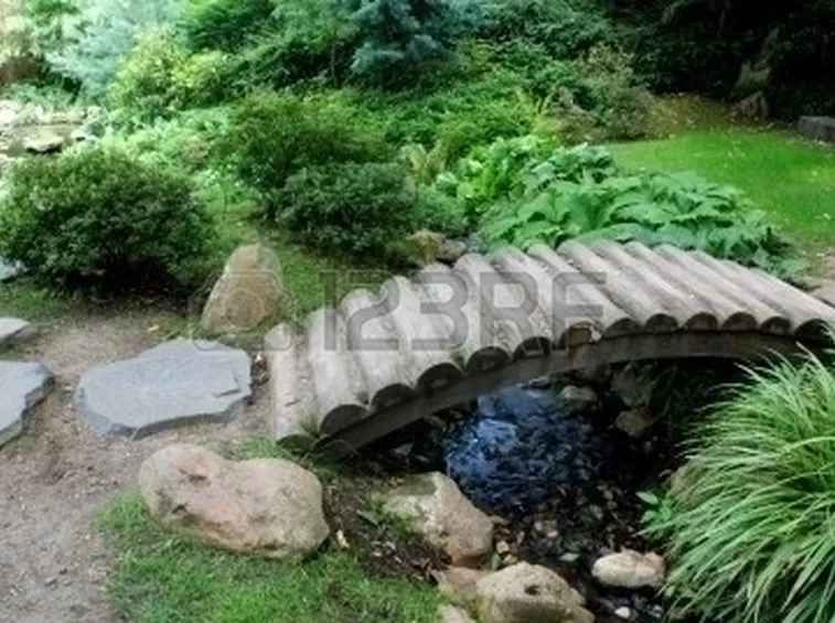 Un piccolo giardino d'acqua
