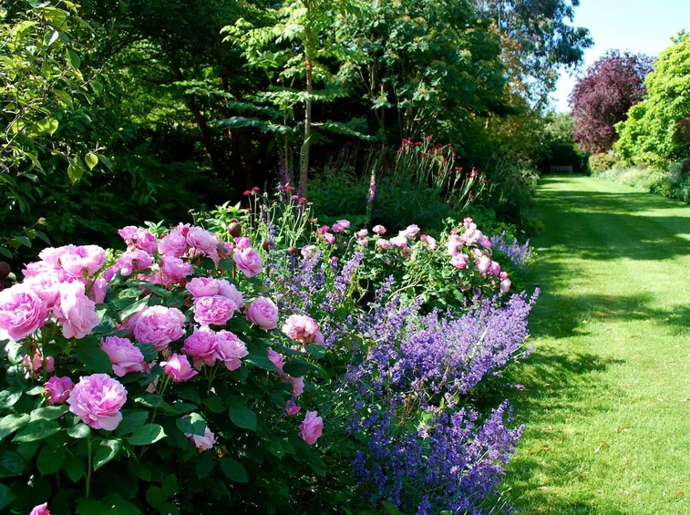 Giardino all'inglese