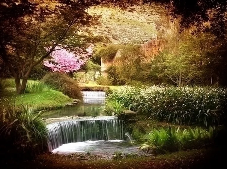 giardino all'inglese-7