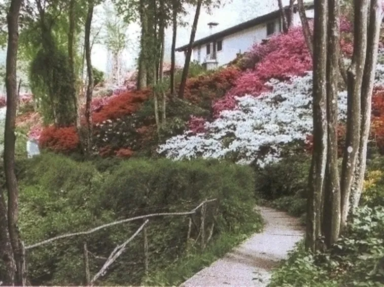 giardino all'inglese-9