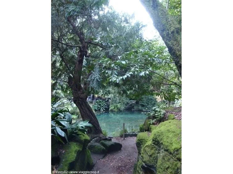 Tecniche di giardinaggio