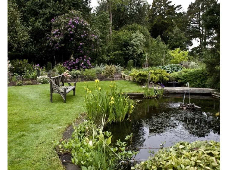 Conoscere il giardino all'inglese