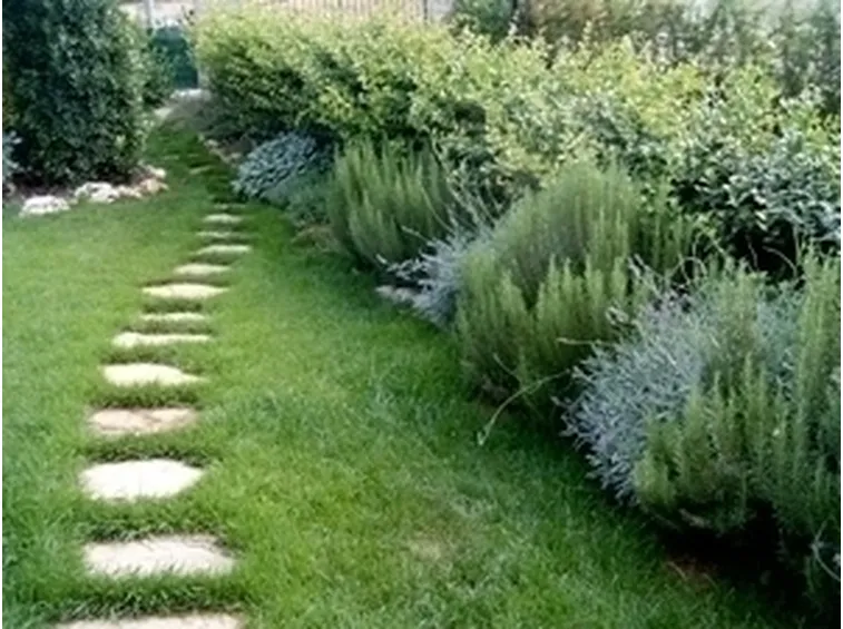 TIPOLOGIE DI GIARDINI