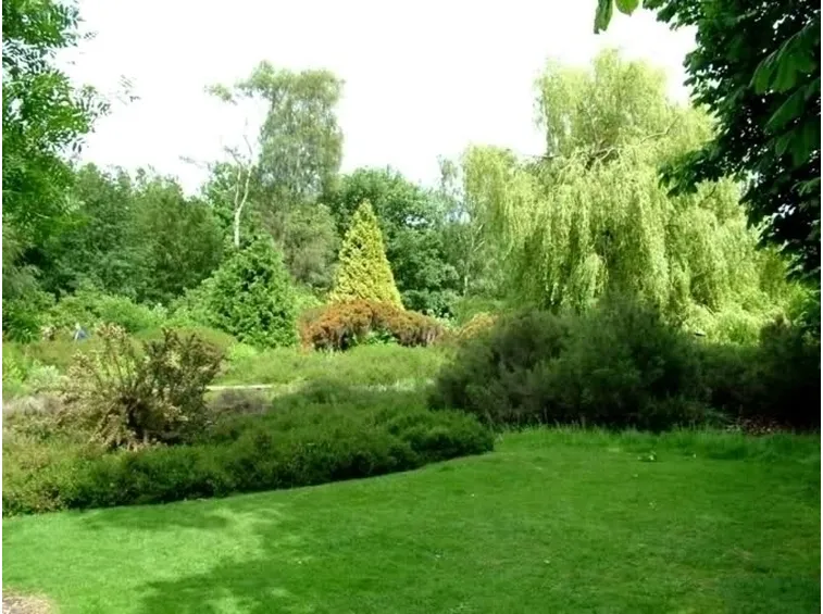 Puntare su scelte alternative: il giardino minimalista e il giardino all'inglese
