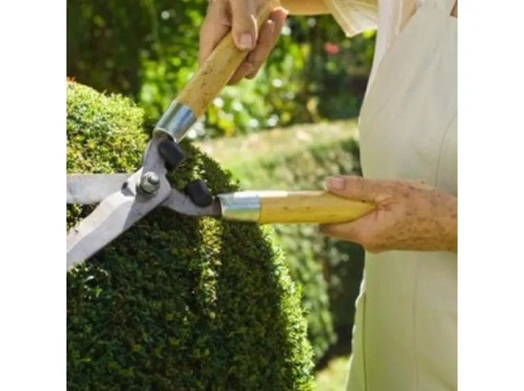 Progettare un giardino secondo gli stili di giardinaggio