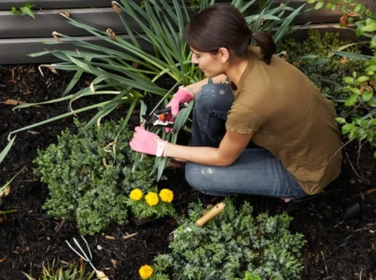 Il centro di giardinaggio “vecchio stile”