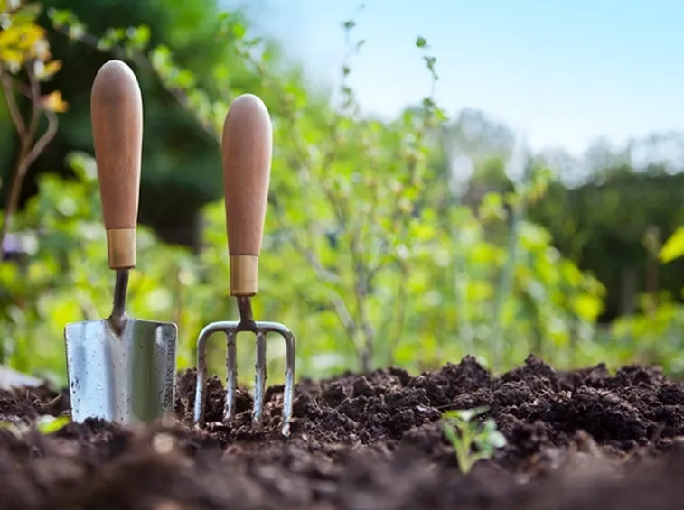 Corsi giardinaggio 
