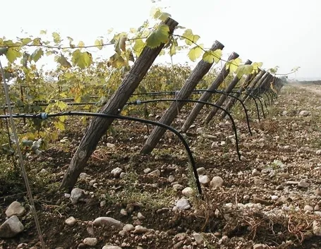 impianto irrigazione a goccia-6