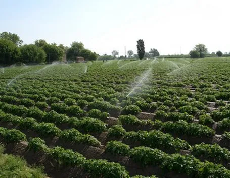 impianto irrigazione fuori terra-9