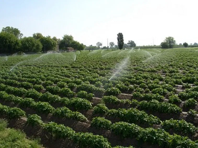 impianto irrigazione fuori terra-9