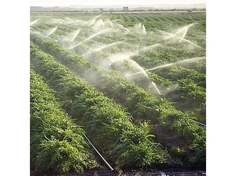 impianto irrigazione fuori terra-8