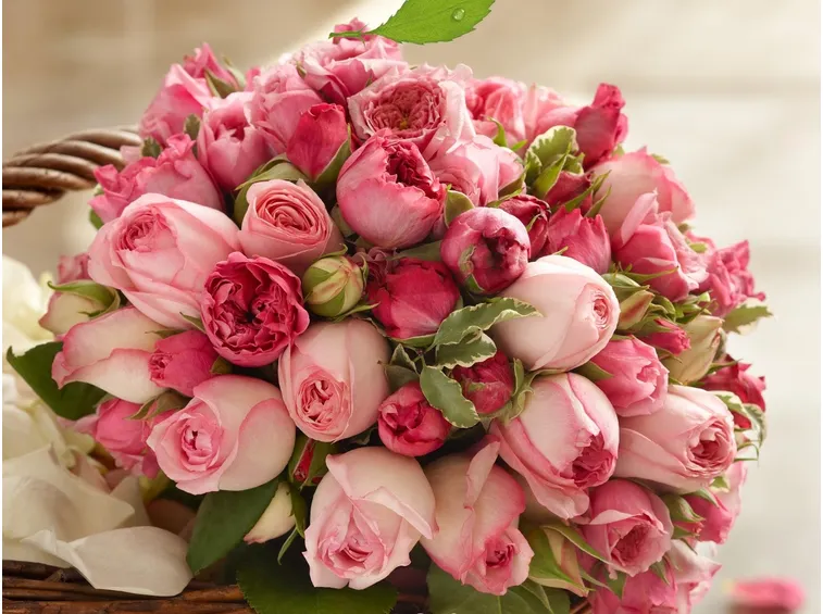 inviare fiori