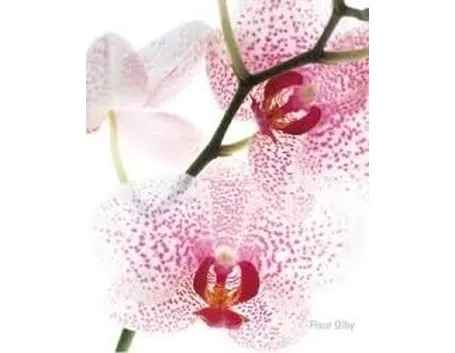 Concimazione delle orchidee