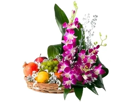 vendita delle orchidee-1