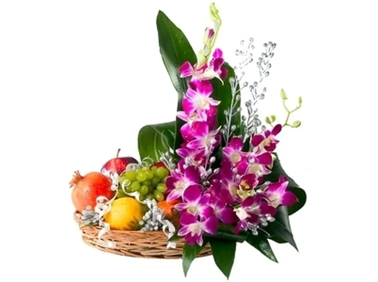 vendita delle orchidee-1