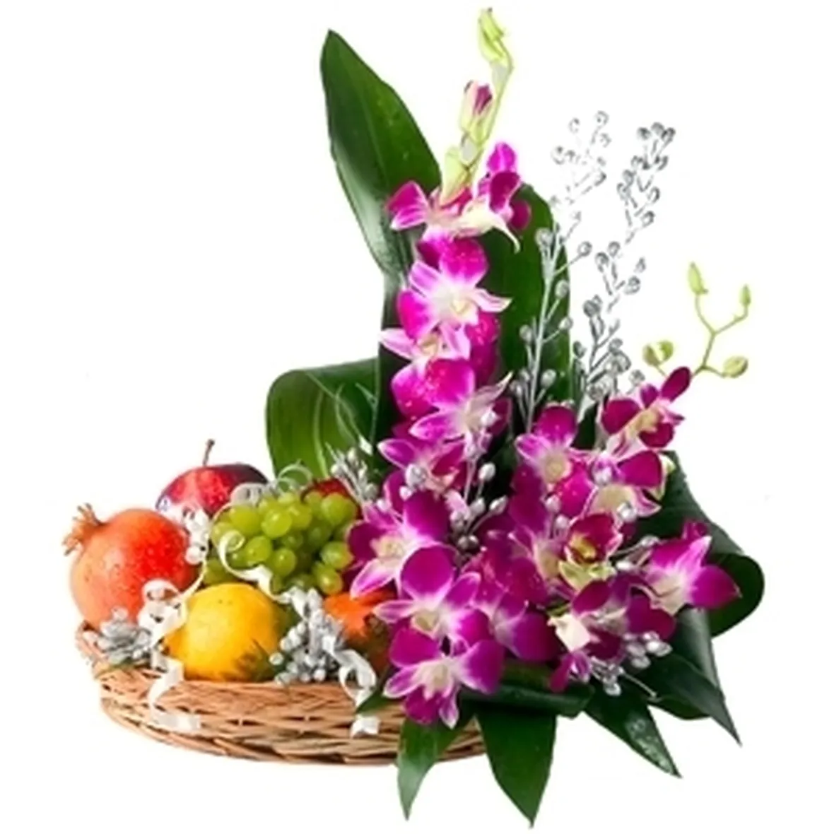 vendita delle orchidee-1