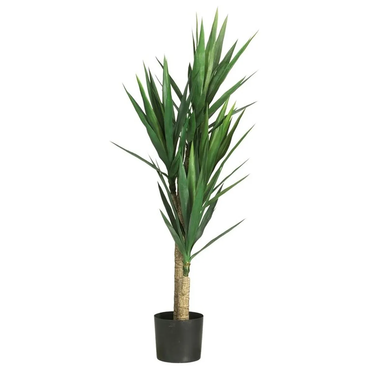 Domanda: le radici della yucca possono rovinare un muro di contenimento?