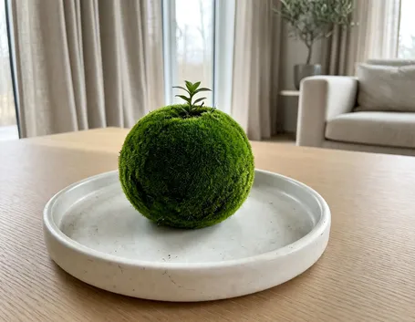 Cos'è il kokedama e perché arreda la casa in inverno