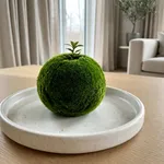 Cos'è il kokedama e perché arreda la casa in inverno