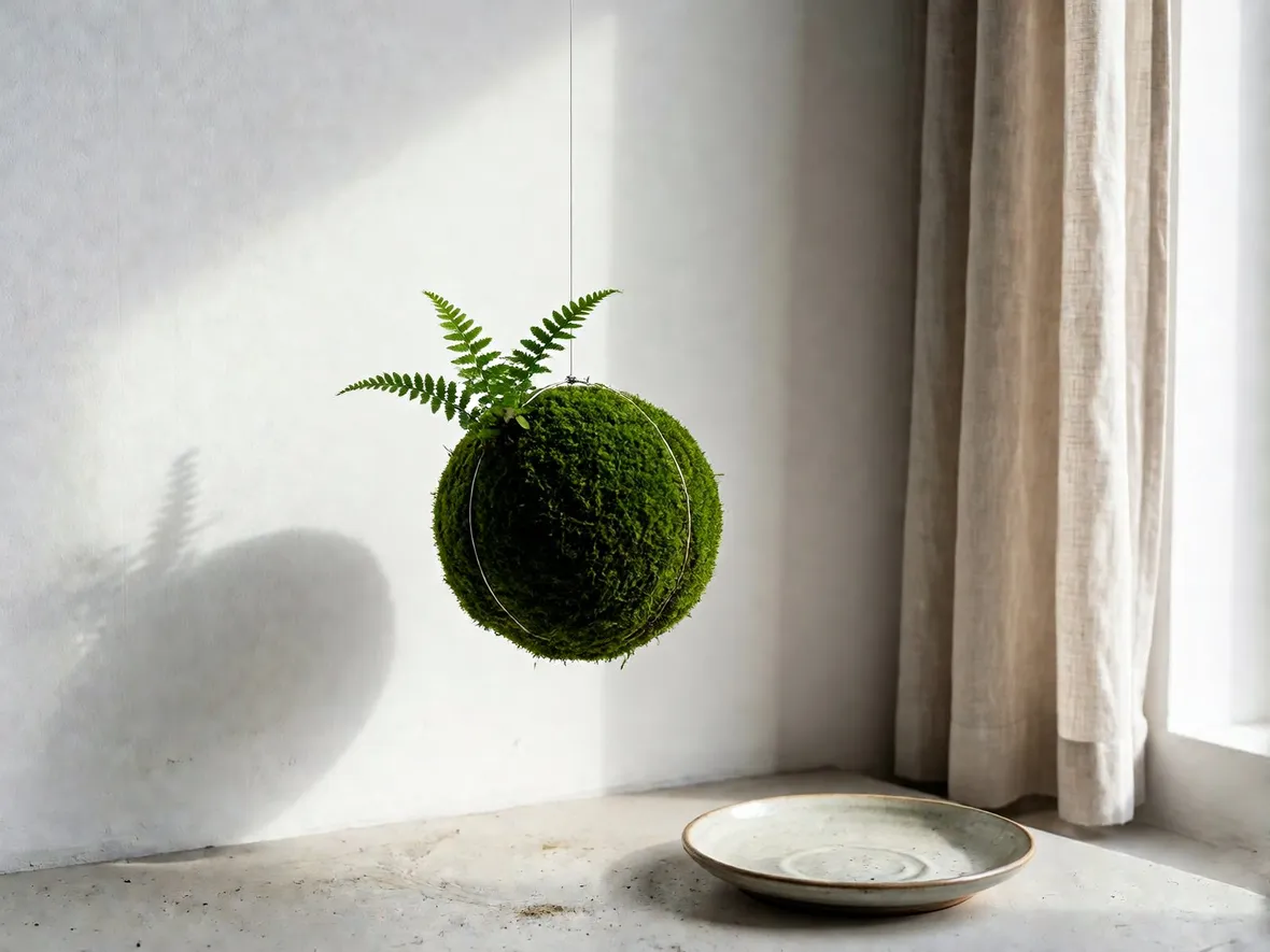 Cos'è il kokedama e perché arreda la casa in inverno