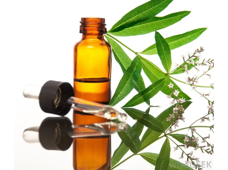 Olio di verbena