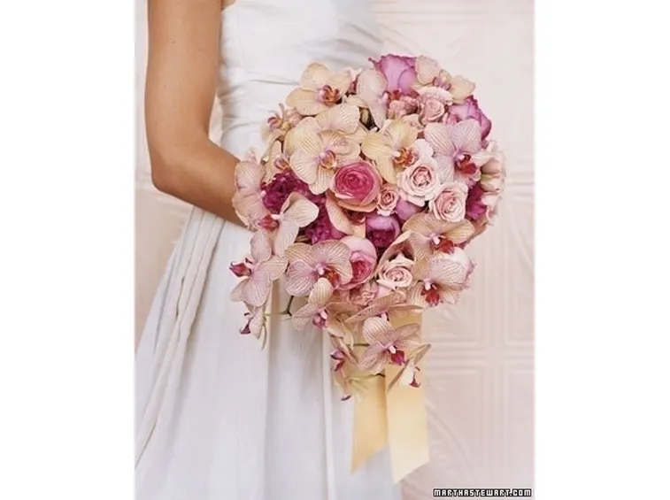 Coltivare le orchidee