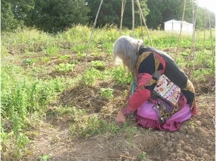 L'orto biologico