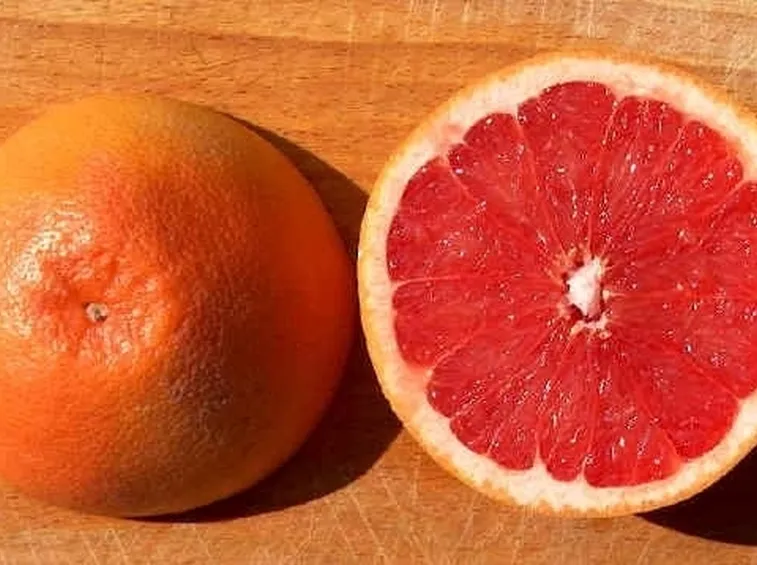 Coltivare il pompelmo